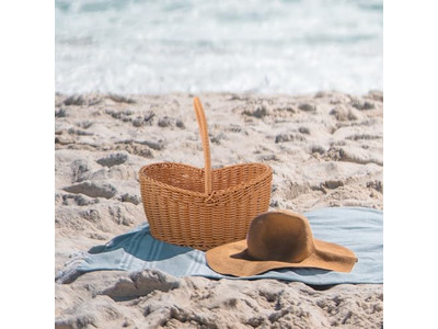 ピクニックバスケット 輸入輸出 ストライプパッケージ 木製蓋付きクーラー